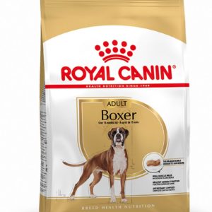 royal canin boxer adulte