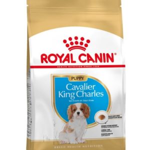 royal canin cavalier king charles junior