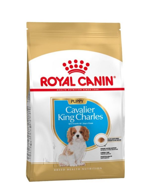 royal canin cavalier king charles junior