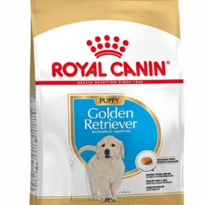 royal canin golden retriever junior