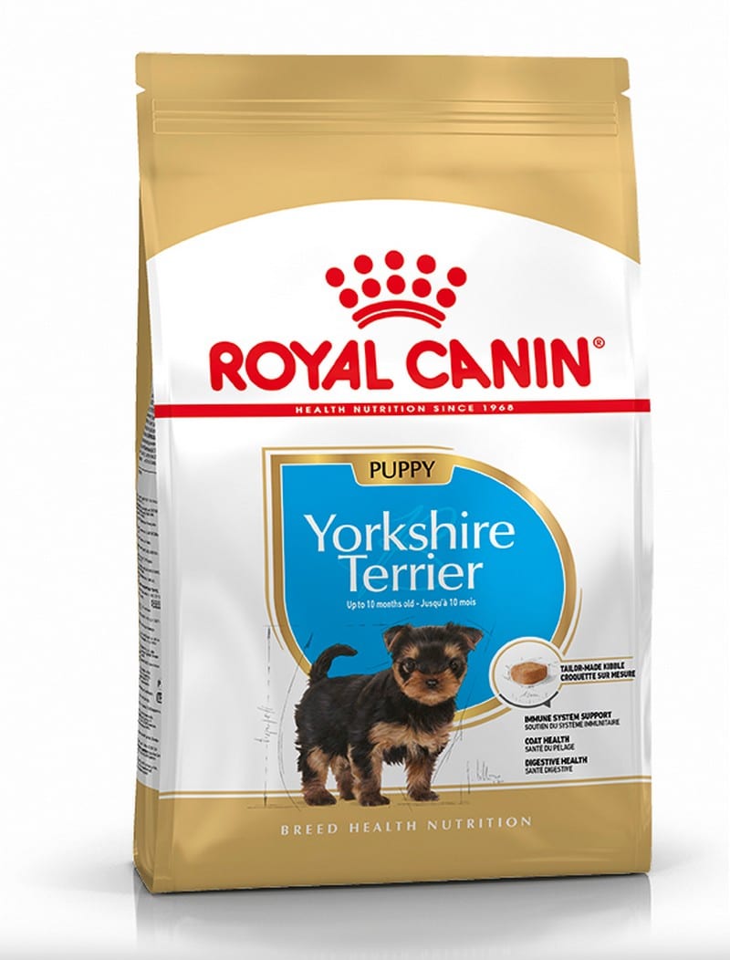 royal canin yorkshire terrier junior